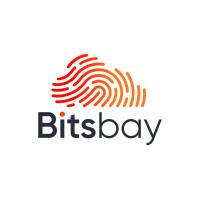 Bitsbay logo - Similar company to Stylized World
