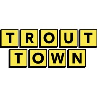Trout Town Outfitters logo - Similar company to Interstitial Atl