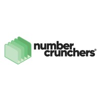 Number Crunchers Virtual Accounting Corporation logo - Similar company to Mann Solutions