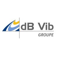 dB Vib Groupe logo - Similar company to Vibrateam