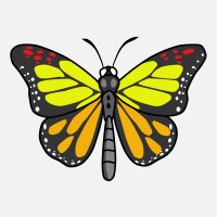 Coaching for transformation logo - Similar company to The Collective Dot