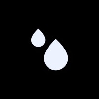 Raindrop Global logo - Similar company to Disko Ai