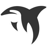 Blackfin logo - Similar company to Blackfin