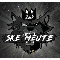 BDS Ske'meute Skema Sophia-Antipolis logo - Similar company to L'Esam