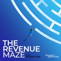 The Revenue Maze logo - Similar company to Maze (Studio Maze Design)