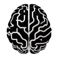 Voicera AI logo - Similar company to Natzai