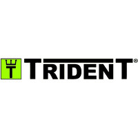 Trident logo - Similar company to Zonda Project