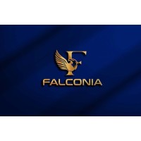 Falconia Consulting LLP logo - Similar company to Lernet Technology