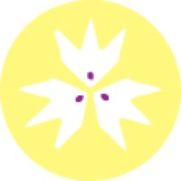Tropicaleo