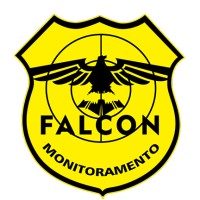 Grupo Falcon Segurança logo - Similar company to Grupo Fallcon