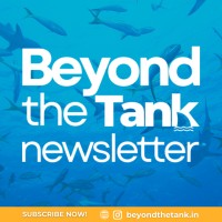 Beyond the Tank Newsletter | Shark Tank India Startups' Insights, Reviews & Untold Stories logo - Similar company to Lysh ( Shark Tank India Shortlisted ) 🦈