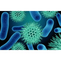 CHAIR - The Coalition for Community and Healthcare Acquired Infection Reduction logo - Similar company to Evergreen Uv