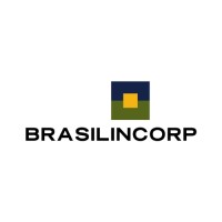 Brasilincorp logo - Similar company to Swix Engineering Solutions