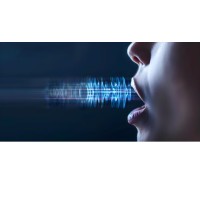 Voice & Vision logo - Similar company to Agriroots Ventures