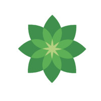 Bloomtri logo - Similar company to Cfo Spark