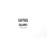 Independent Entertainment Industry Professional logo - Similar company to Entertainment Industry