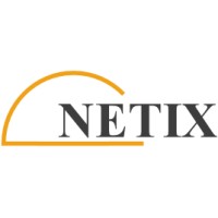 NETIX Sp.J. logo - Similar company to Eutonomy