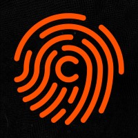 Connect.Black logo - Similar company to Lisbom