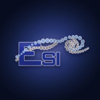 Engineering & Scientific Innovations, Inc. logo - Similar company to High-Tech Conveyor Systems