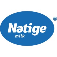 Natige logo - Similar company to 220Volt