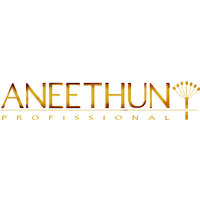 Aneethun Profissional logo - Similar company to Aneethun Profissional