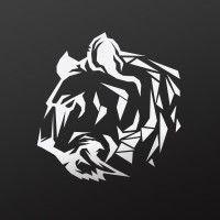 ZORG IT GROUP logo - Similar company to Netro Systems