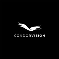 Condor Vision logo - Similar company to Stratemy /                                                          Centro De Estudios