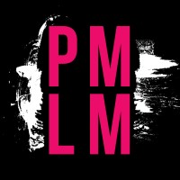 PMLM Media logo - Similar company to Panberes Network Marketing