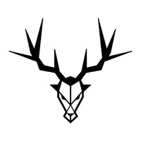 Rockin' Steady (Pty) Ltd logo - Similar company to Technospeak