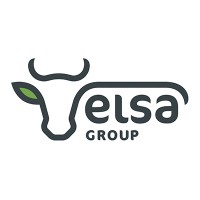 Elsa Group logo - Similar company to Protec Industries
