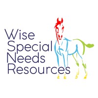 Wise County Special Needs Resources