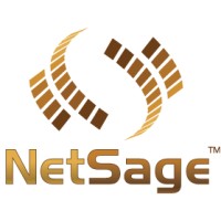 NetSage logo - Similar company to Capital Solutions Group (Csg)