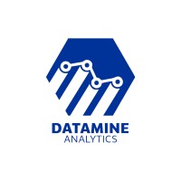 Datamine Analytics logo - Similar company to Quadratic Analytics