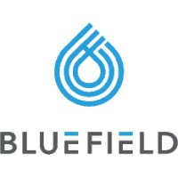 Bluefield logo - Similar company to Technique Web