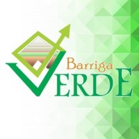 Indústria Metalúrgica Barriga Verde logo - Similar company to Metalsomos Industria E Comércio Ltda