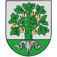City of Bergen logo - Similar company to Stadt Celle
