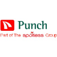 Punch Industries Ltd. logo - Similar company to Ross Controls India