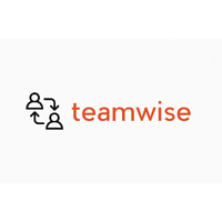 teamwise logo - Similar company to Teamwise