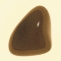 Naly logo - Similar company to Nida