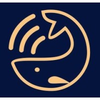 Shivam international logo - Similar company to Magn Intel