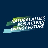 Natural Allies for a Clean Energy Future logo - Similar company to Partnership To Address Global Emissions