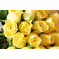 Coastal Weddings And Events