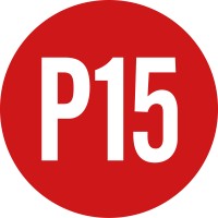 P15 Limited logo - Similar company to Common Industry
