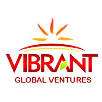 Vibrant Global Ventures Limited logo - Similar company to Vibrantventures