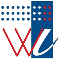 Wide Infotech (India) P. Limited logo - Similar company to Open Etechnologies