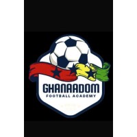 Ghanaadom Football Academy logo - Similar company to Kaffefair