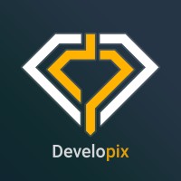 Developix logo - Similar company to Peak Impact Inc