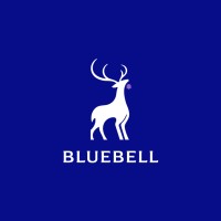 BlueBell Securities Company Limited logo - Similar company to Classic Ausiris Investment Advisory Securities Co., Ltd
