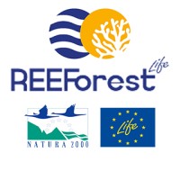 REEForest LIFE project logo - Similar company to Next-Step Cbe
