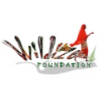 The Wildize Foundation
